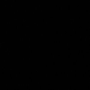 Meet your Posher, Randy